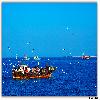 Bet Dwarka journey by boat 