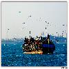 Bet Dwarka journey by boat 