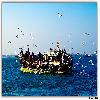 Bet Dwarka journey by boat 