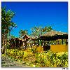 Sasan Gir Jungle Safari by Jeep