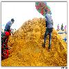 International Sand Art Festival at Chandrabhaga Beach near Konark Photos