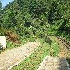 Train track of Ooty train