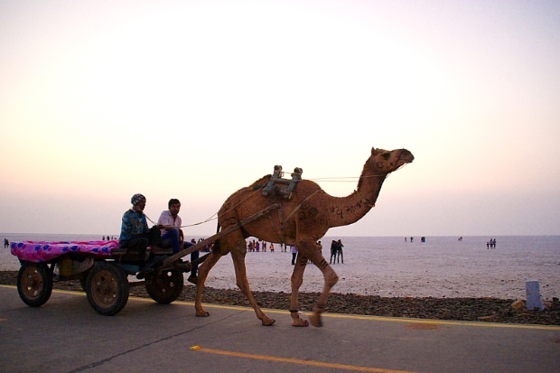 Rann Utsav Gujarat