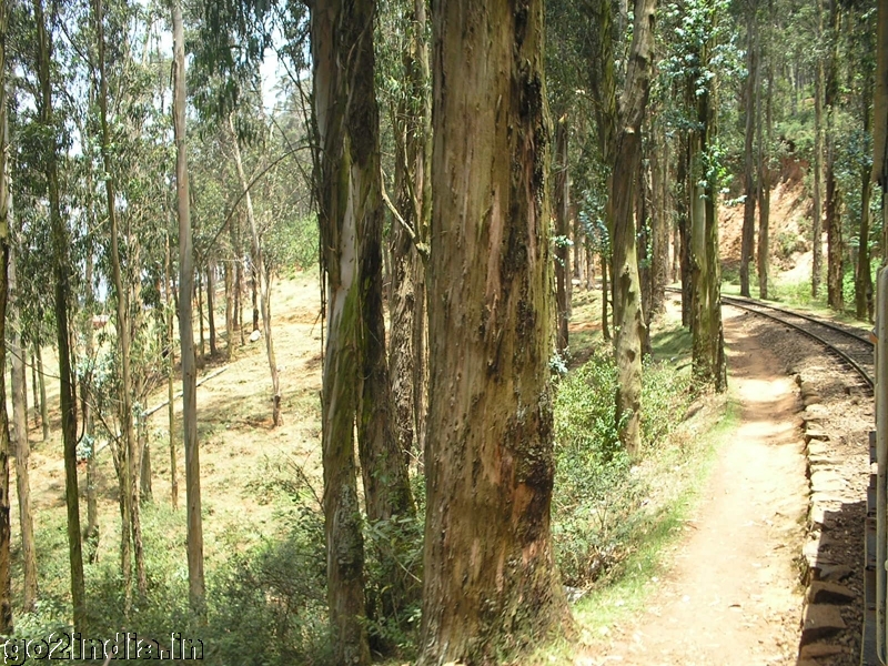Towards Ooty