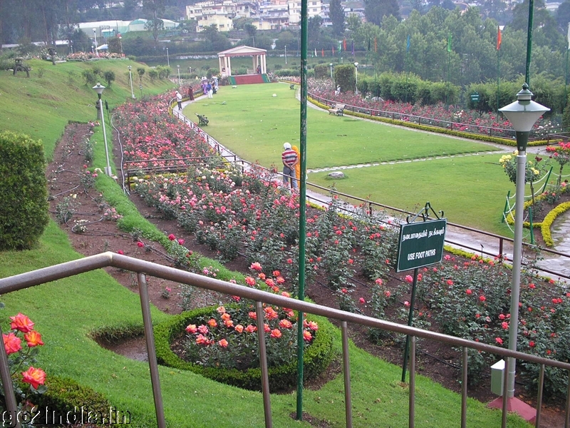 Inside rose garden Ooty