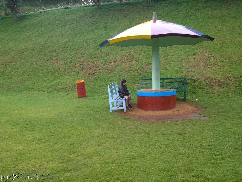 Green garden inside rose garden Ooty