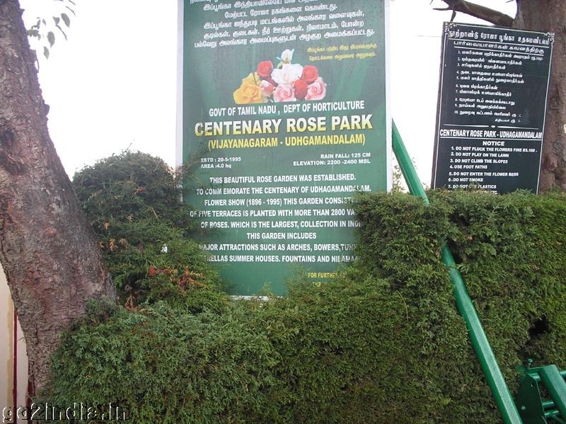 Centenary rose garden Ooty