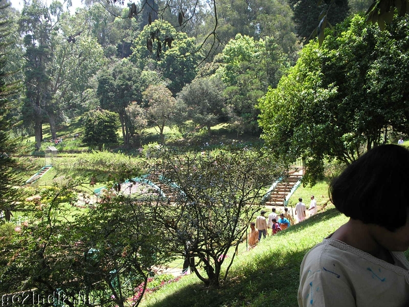 Coonoor Park