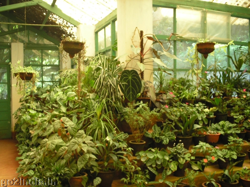 Garden at botanical garden