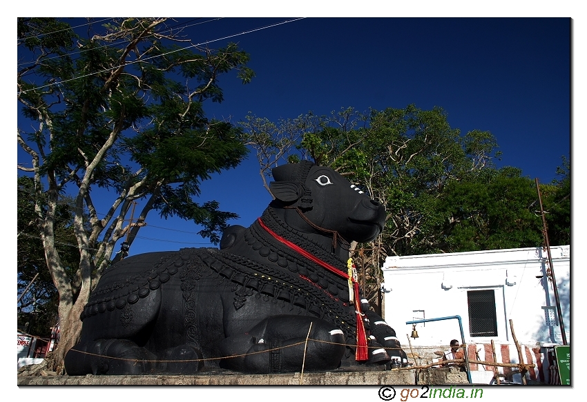 Nandi statue in Chamundi hills near Mysore