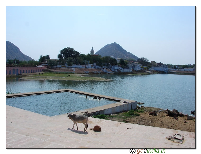 Pushkar Lake