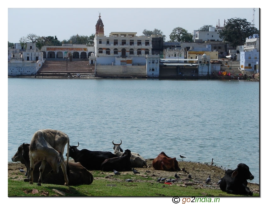 Pushkar Lake