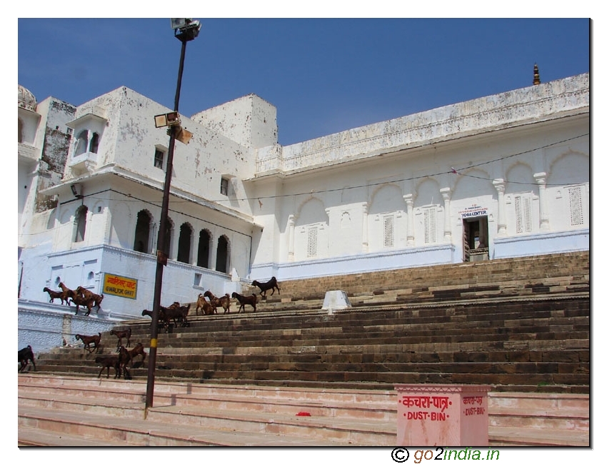 Pushkar Lake side