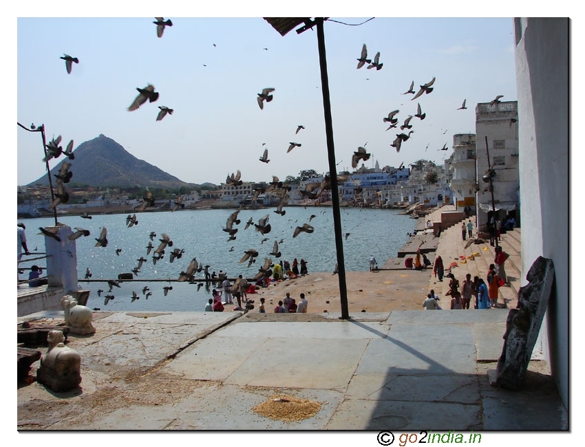 Pushkar Lake
