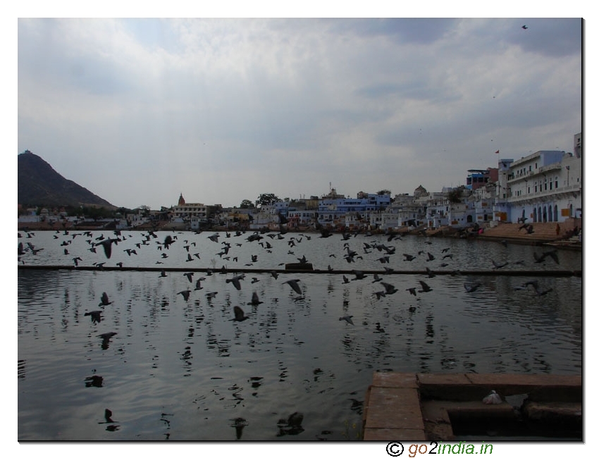Pushkar Lake