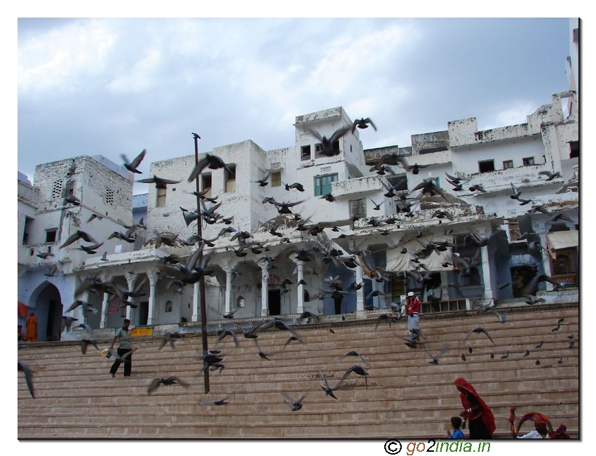 Steps at the ghat of Pushkar