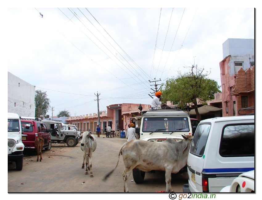 Parking place near temple - Pushkar