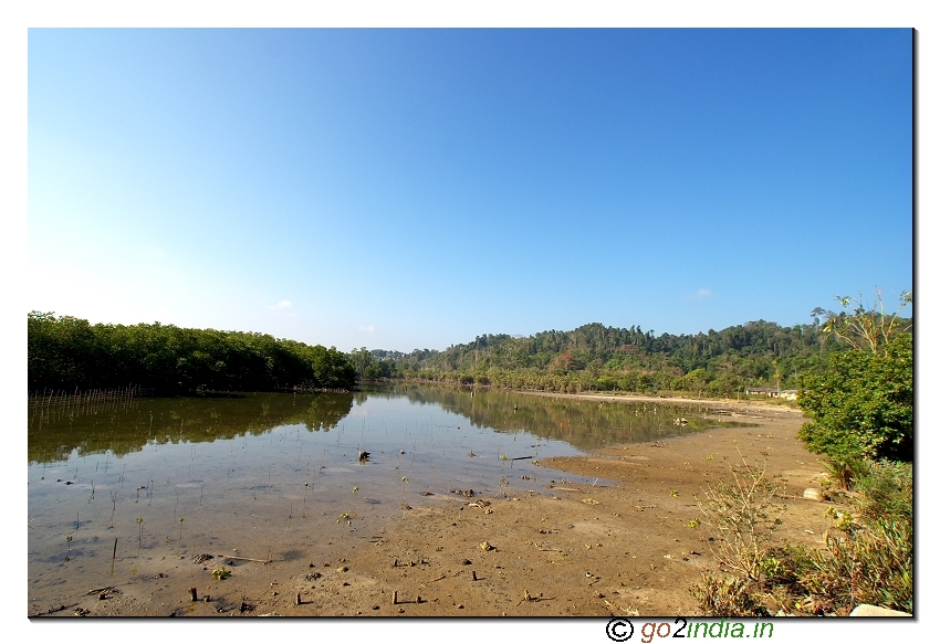 Baratang mid point landscape in Andaman