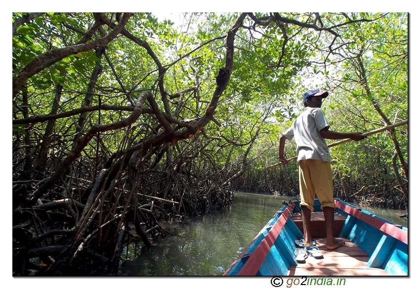 Bay from sea at Baratang in forest to reach limestone caves - Andaman