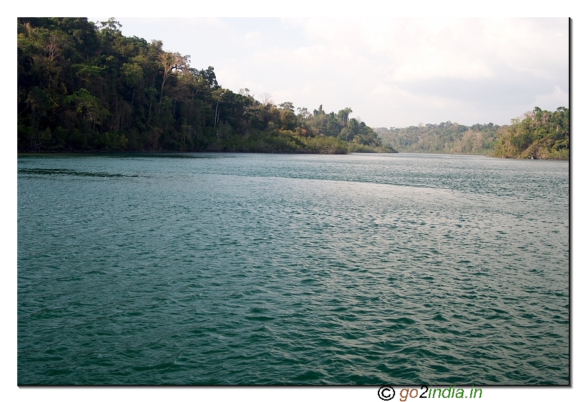 Sea surrounded by forest on the way to Jolly buoy island in Andaman