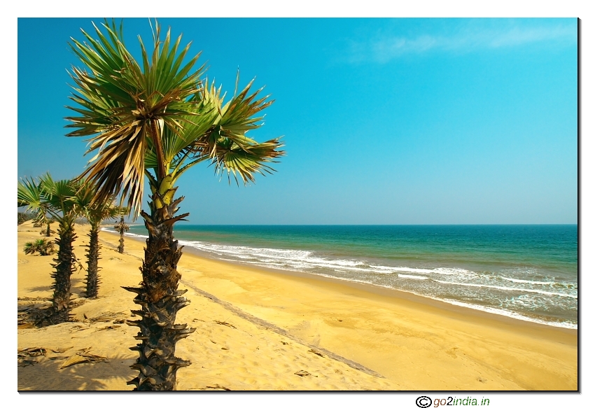 Indian pristine beaches