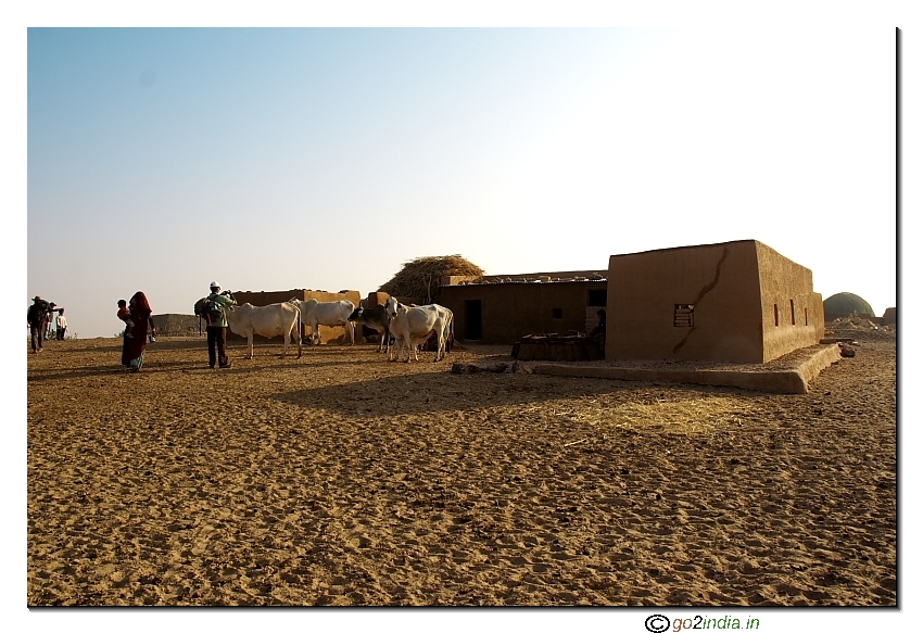 Houses in desert 