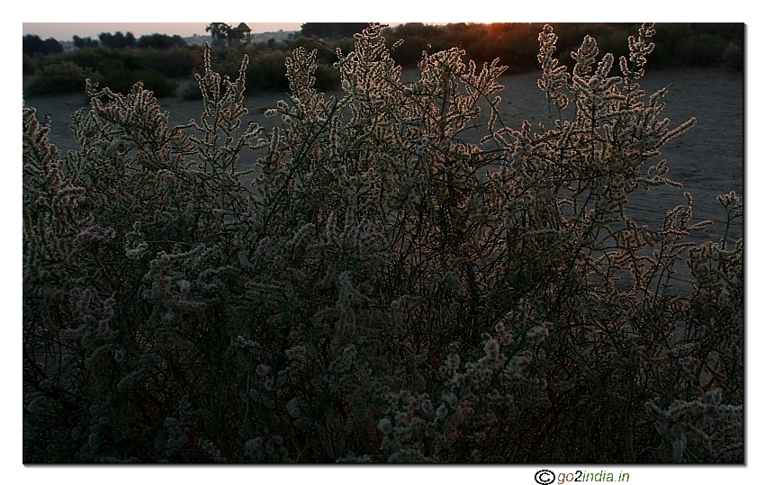 Sunrise time