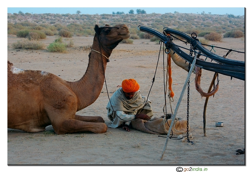 Our guide feeding to camel