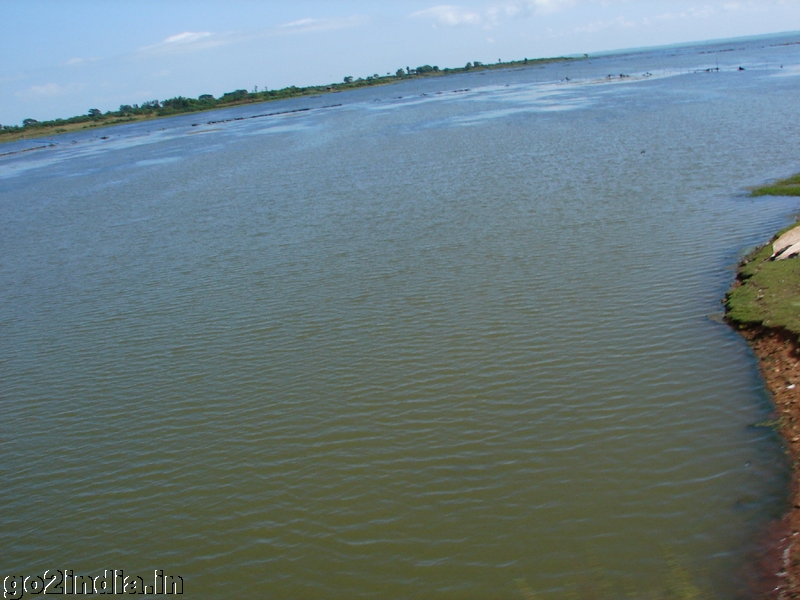 Photo from train of chilika