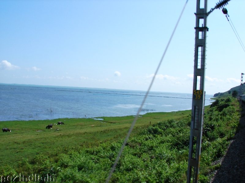 photo from moving train