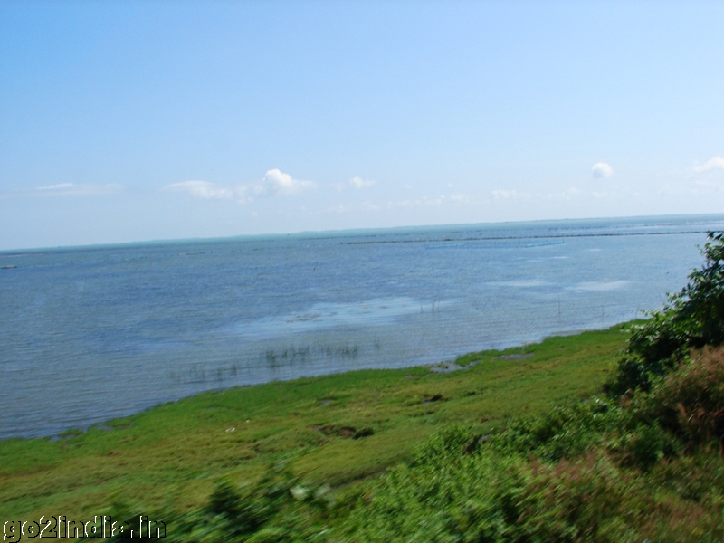 Chilika Lake view from train