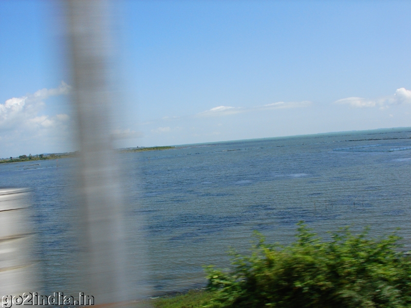 Chilika view