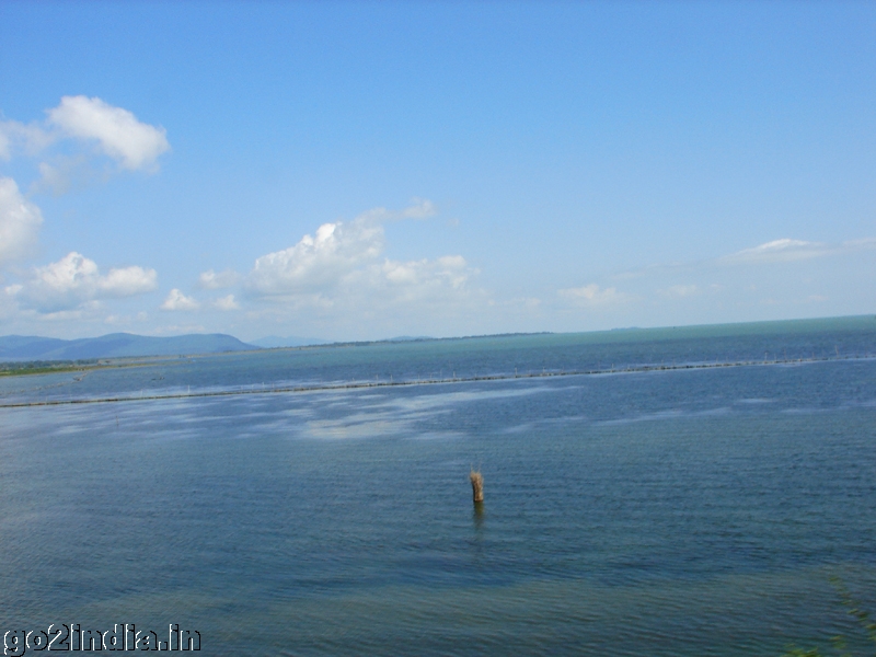 Chilika Lake