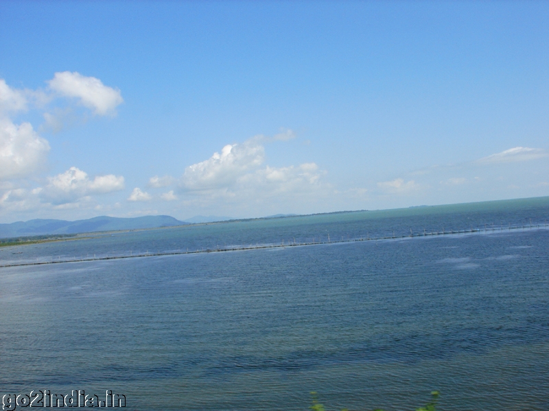 Brackish water Lake Chilika