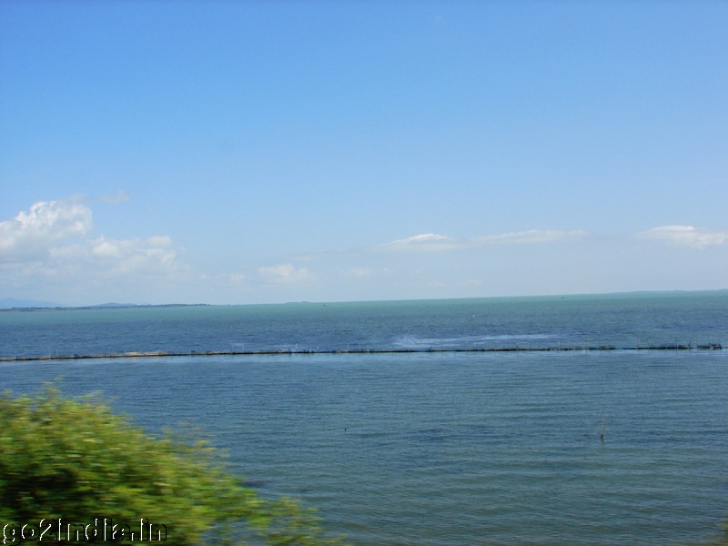 Lake of Chilika