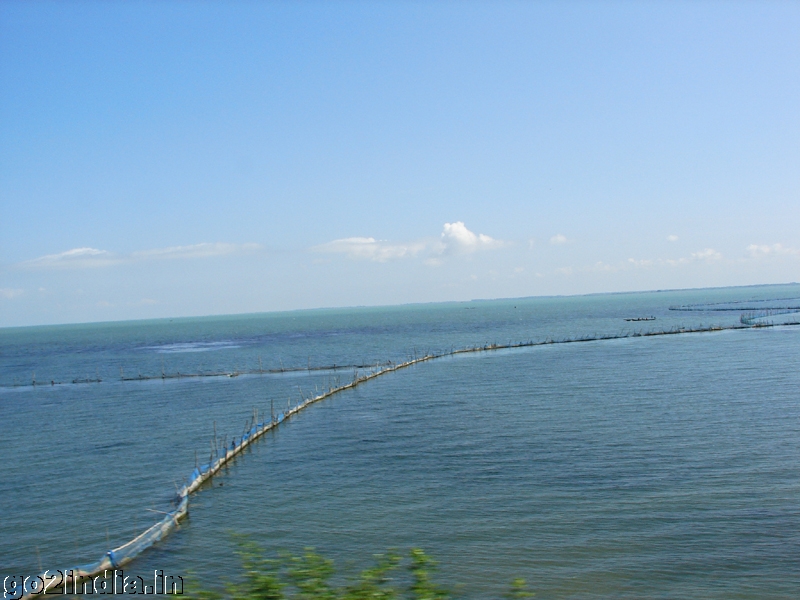 Chilika Lake view from train