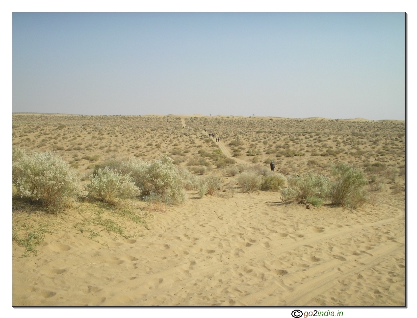 Small walking road inside desert 