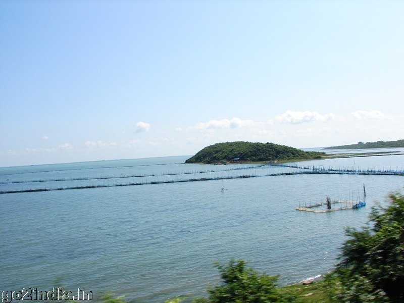 Chilika Lake