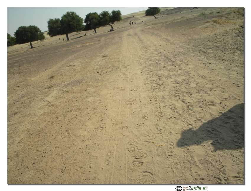 Desert soil