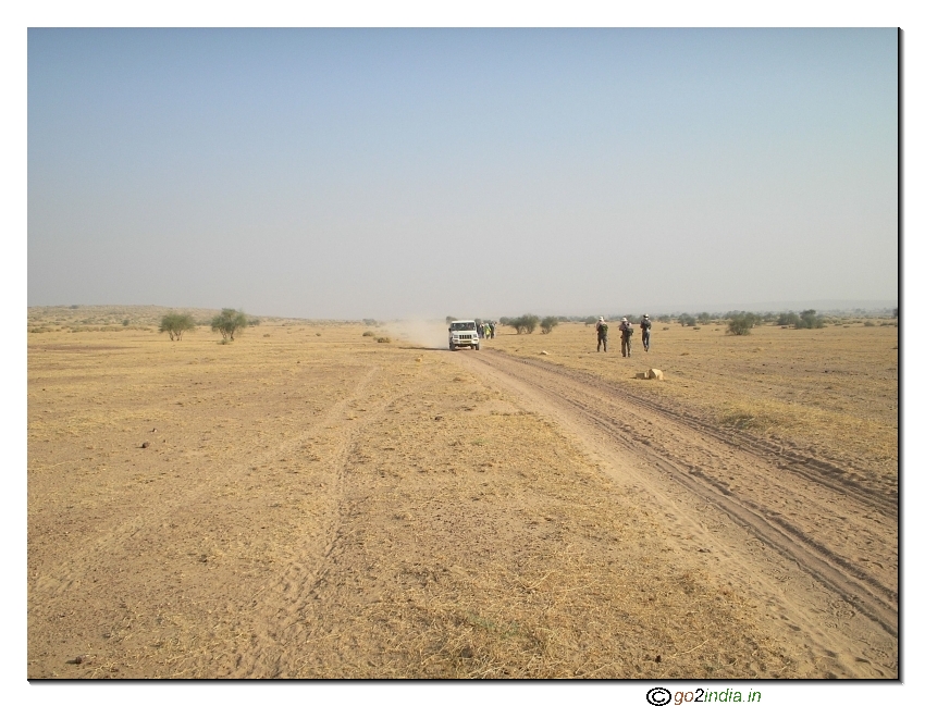 Desert road