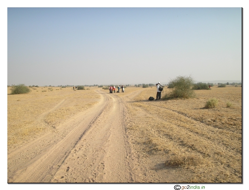 roads inside desert
