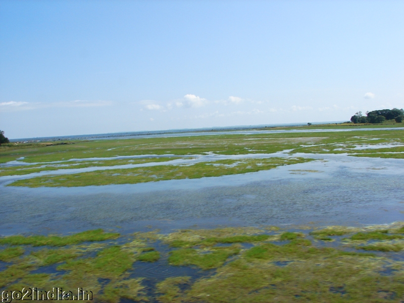 Chilika