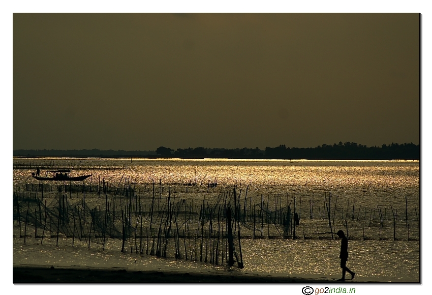 Afternoon sun at Chilika Lake 