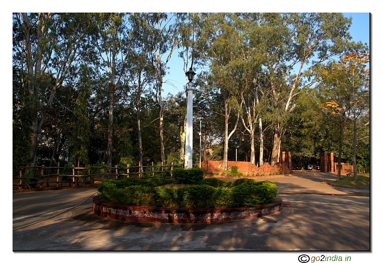 Inside campus of ni-msme green around