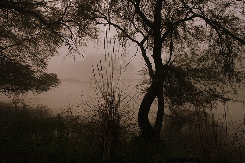 Sultanpur in a misty morning