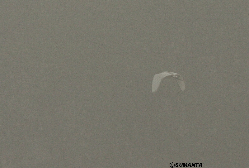 Sultanpur in a misty morning