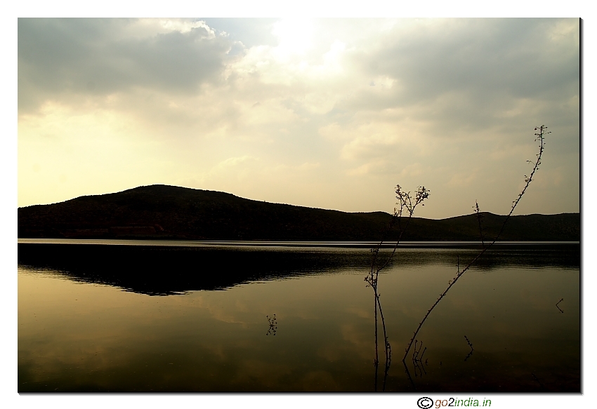 Back water catchment area at Nugu reservoir near Kabini