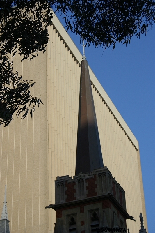 Perth architecture mingled with nature
