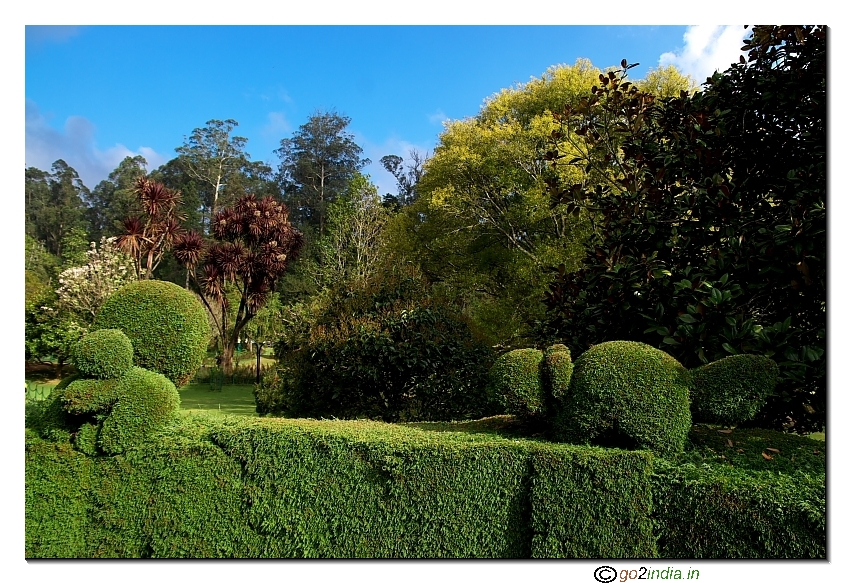 Botanical garden as seen from fencing looking like animal made with green