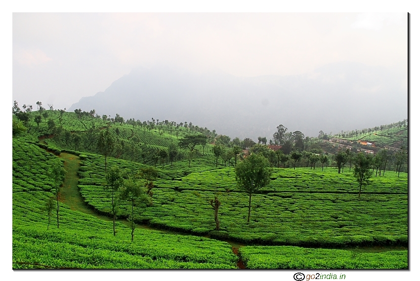 Green Valley view on the way to Dolphin nose from Coonoor in Ooty